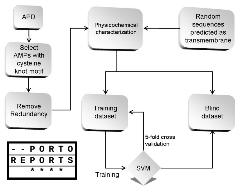 An SVM model based on physicochemical properties to predict antimicrobial activity from protein sequences with cysteine knot motifs