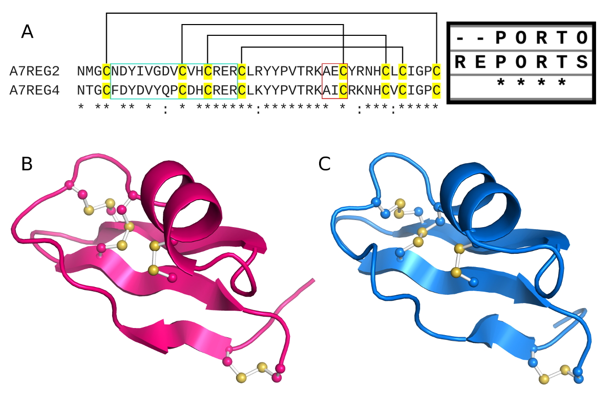 In silico characterization of class II plant defensins from Arabidopsis thaliana