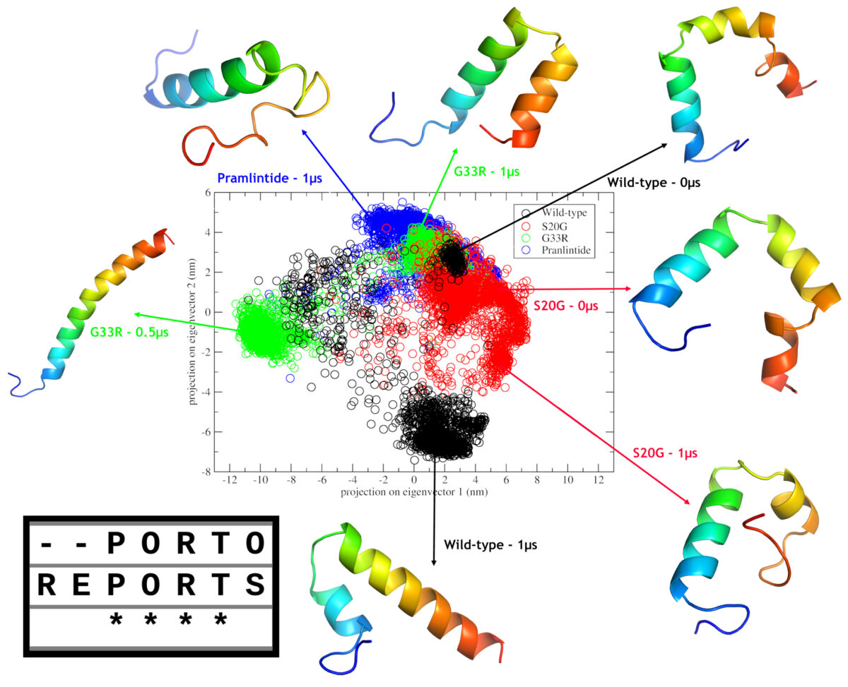 Structural effects driven by rare point mutations in amylin hormone, the type II diabetes-associated peptide