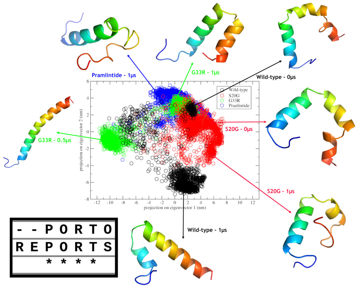 Principal Component Analysis of amylin and its variants